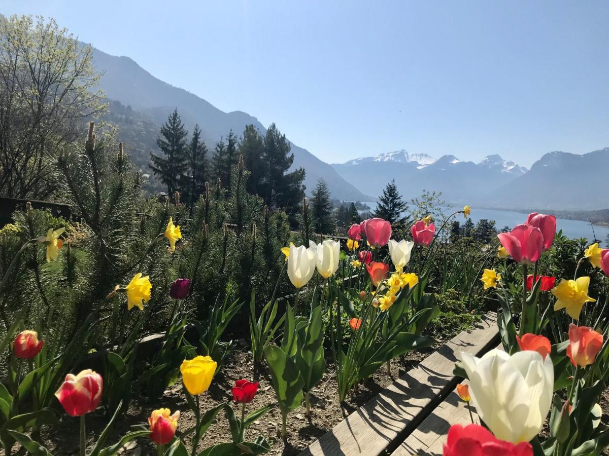 Chalet Christine Talloires Bagian luar foto